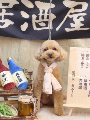 20240628めるちゃん